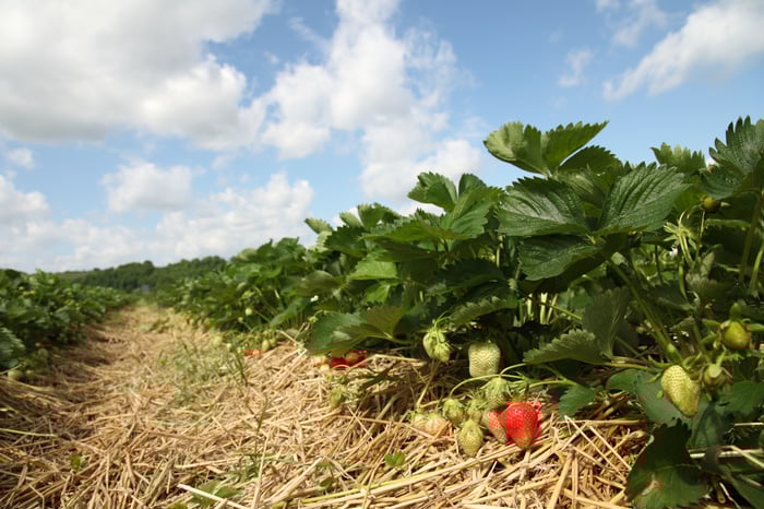 Smart og fleksibel håndtering av sesongarbeidere